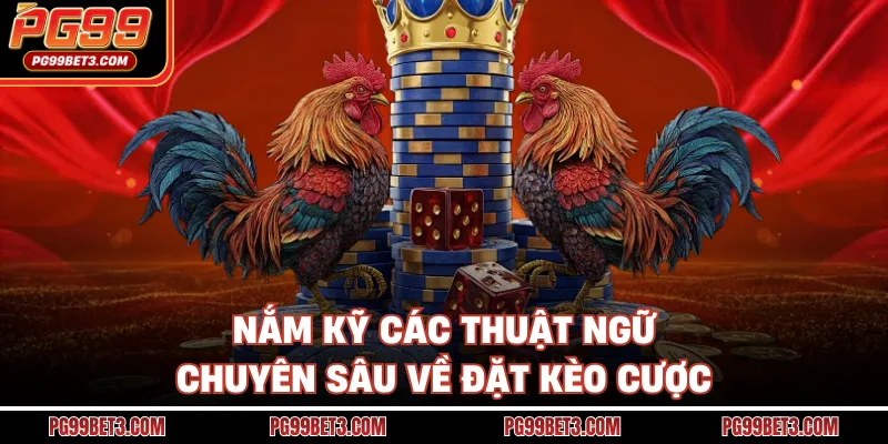 Nắm kỹ các thuật ngữ chuyên sâu về đặt kèo cược