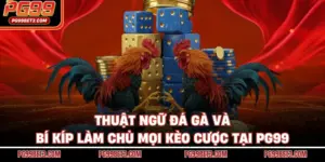 Thuật Ngữ Đá Gà Và Bí Kíp Làm Chủ Mọi Kèo Cược Tại PG99